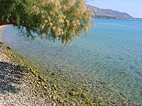 Makrigialos